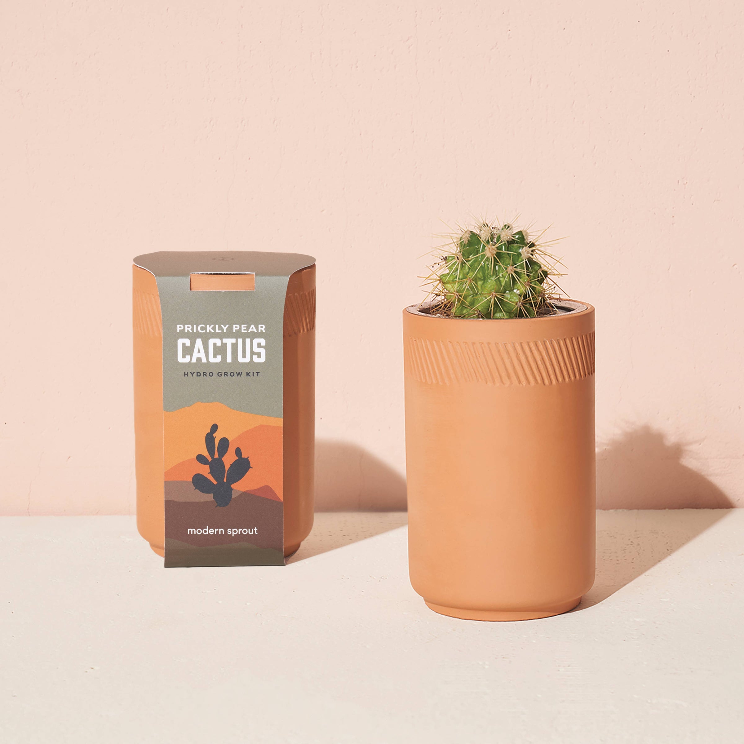 Terracotta Grow Kit: Prickly Pear Cactus | Barn Owl